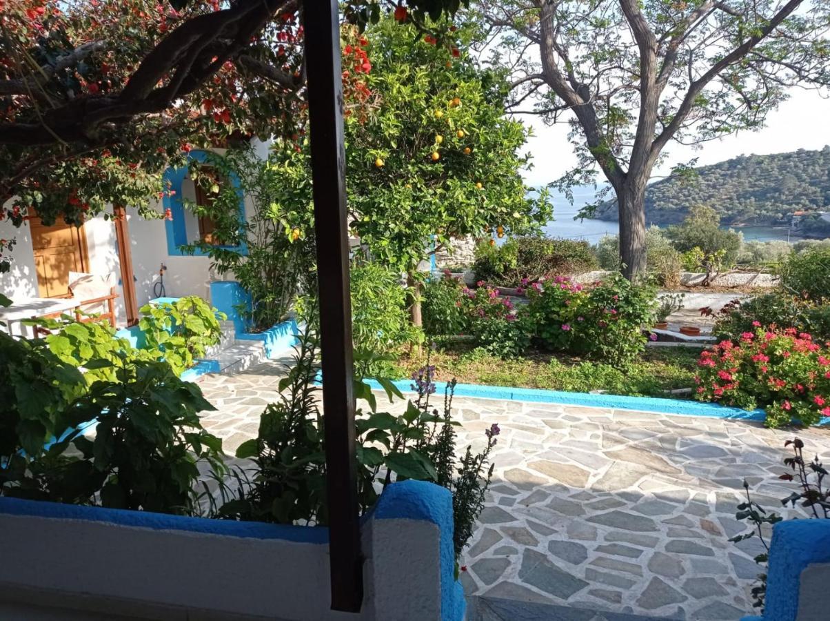 Studios Ioanna Limnionas Samos Marathókampos Exterior foto