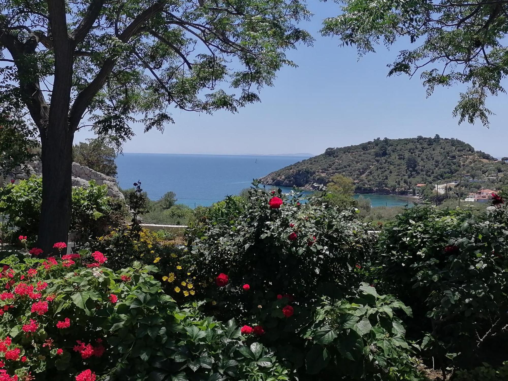 Studios Ioanna Limnionas Samos Marathókampos Exterior foto