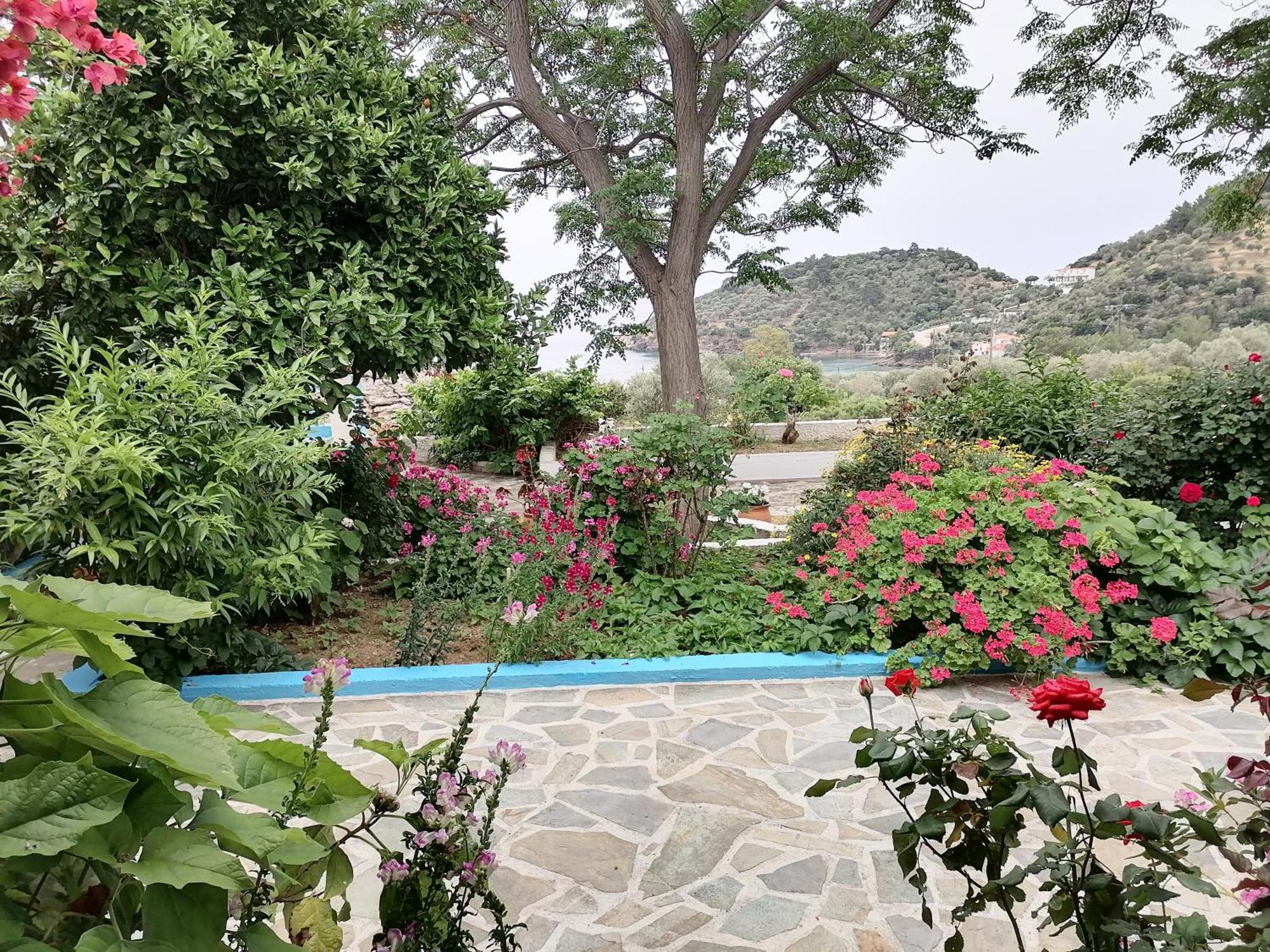 Studios Ioanna Limnionas Samos Marathókampos Exterior foto